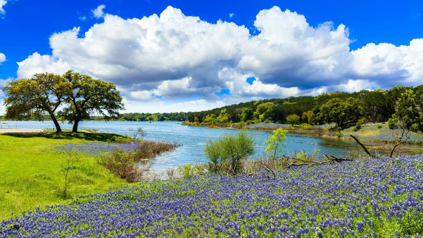 Sachse, TX
